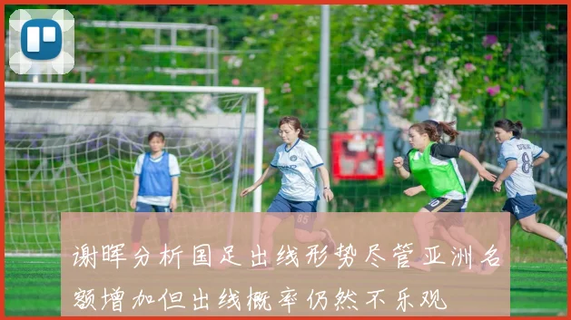 谢晖分析国足出线形势尽管亚洲名额增加但出线概率仍然不乐观