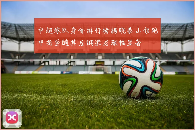 中超球队身价排行榜揭晓泰山领跑申花紧随其后铜梁龙涨幅显著